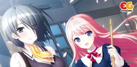 Hiqo-soft foi à falência