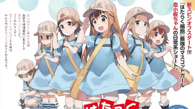 Hataraku Saibou, Plaquetas