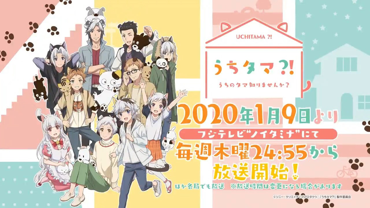 Trailer de Uchi Tama?! Uchi no Tama Shirimasenka? | OtakuPT - 3-choume No Tama - Uchi No Tama Shirimasenka