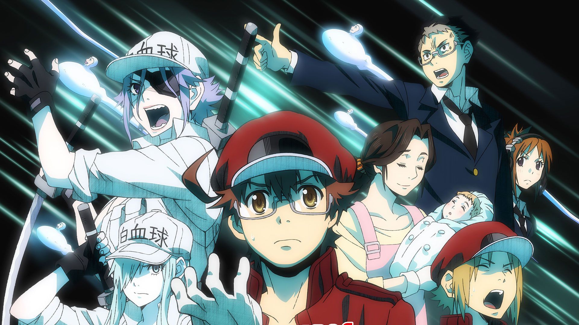 Assistir Hataraku Saibou (Cells at Work!) Episódio 001 Online