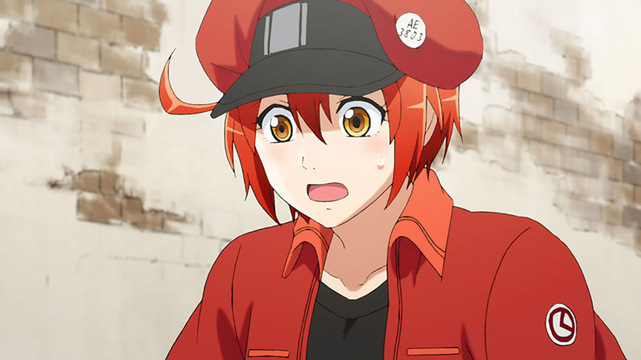 Assistir Hataraku Saibou (Cells at Work!) Episódio 001 Online