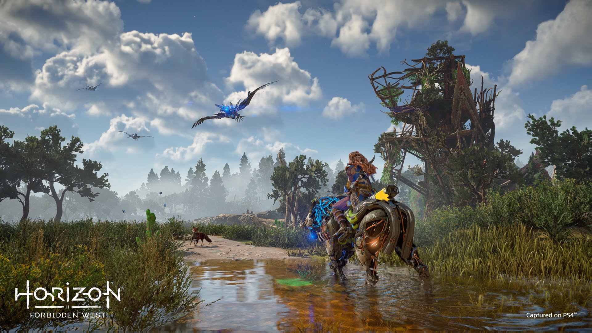 Imagens dedicadas à versão PS4 de Horizon Forbidden West | OtakuPT