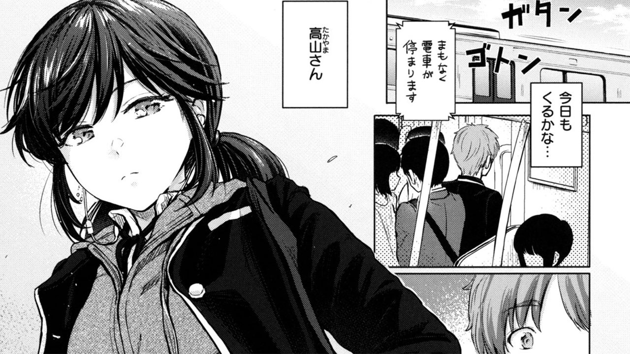 Manga Hentai - Occasion - Pour Adultes