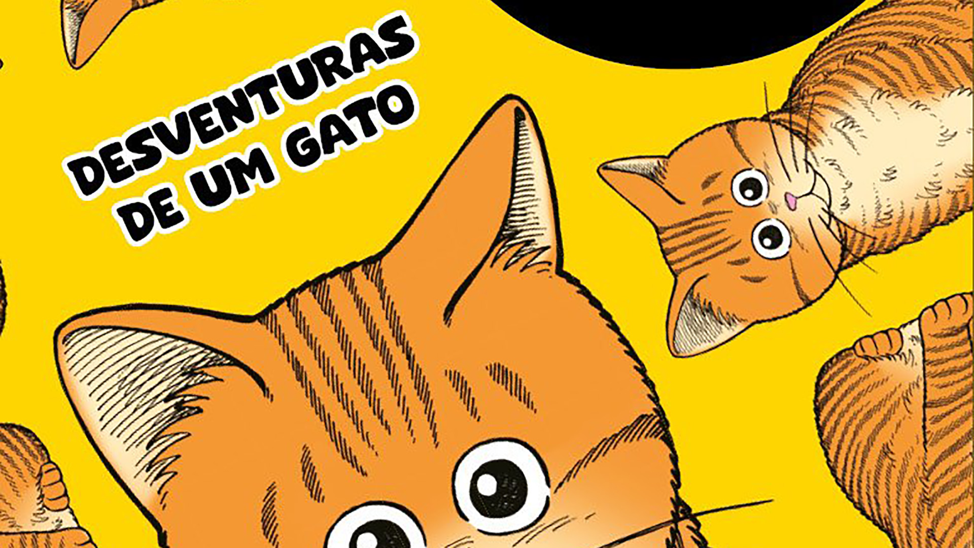 Mangá Então, Michael?!: Desventuras de um gato em Portugal | OtakuPT